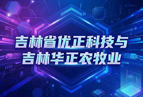 数智牧歌：吉林省优正科技与吉林华正农牧业共建AI数字人直播新生态的全链路实践与产业价值重构