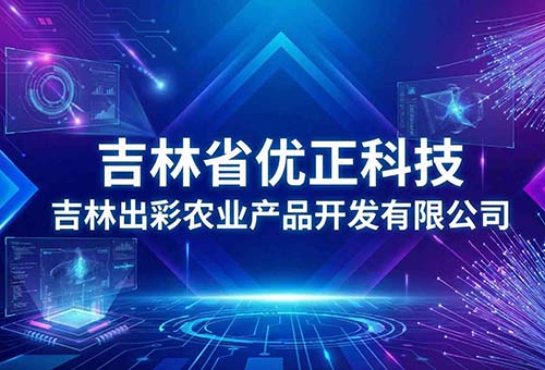 数智黑土·慧链田园：吉林省优正科技与吉林出彩农业产品开发有限公司AI赋能现代农业的定制化实践与价值共创